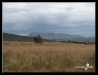 Masai Mara