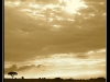 Masai Mara Landscape