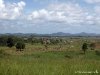 plain_of_jars_laos_19