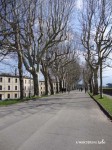 Running on the Lucca Wall