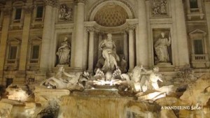 trevi fountain at night