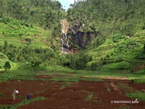 rwanda scenery